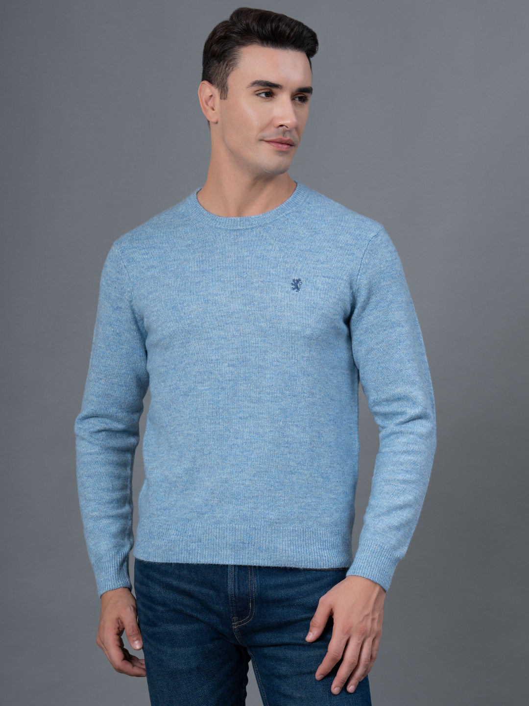 Casual Sweater for Men Redtape