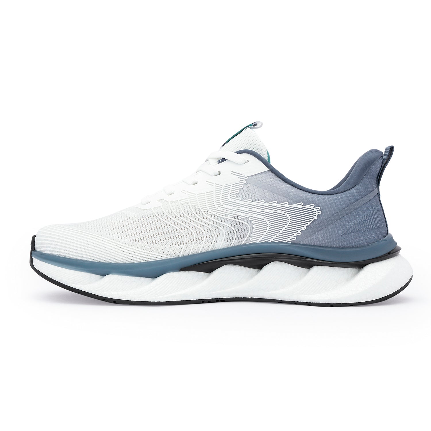 White/Navy
