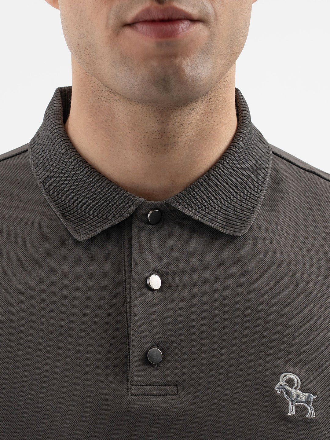 Dark Olive
