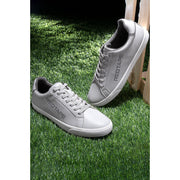 Ice Grey