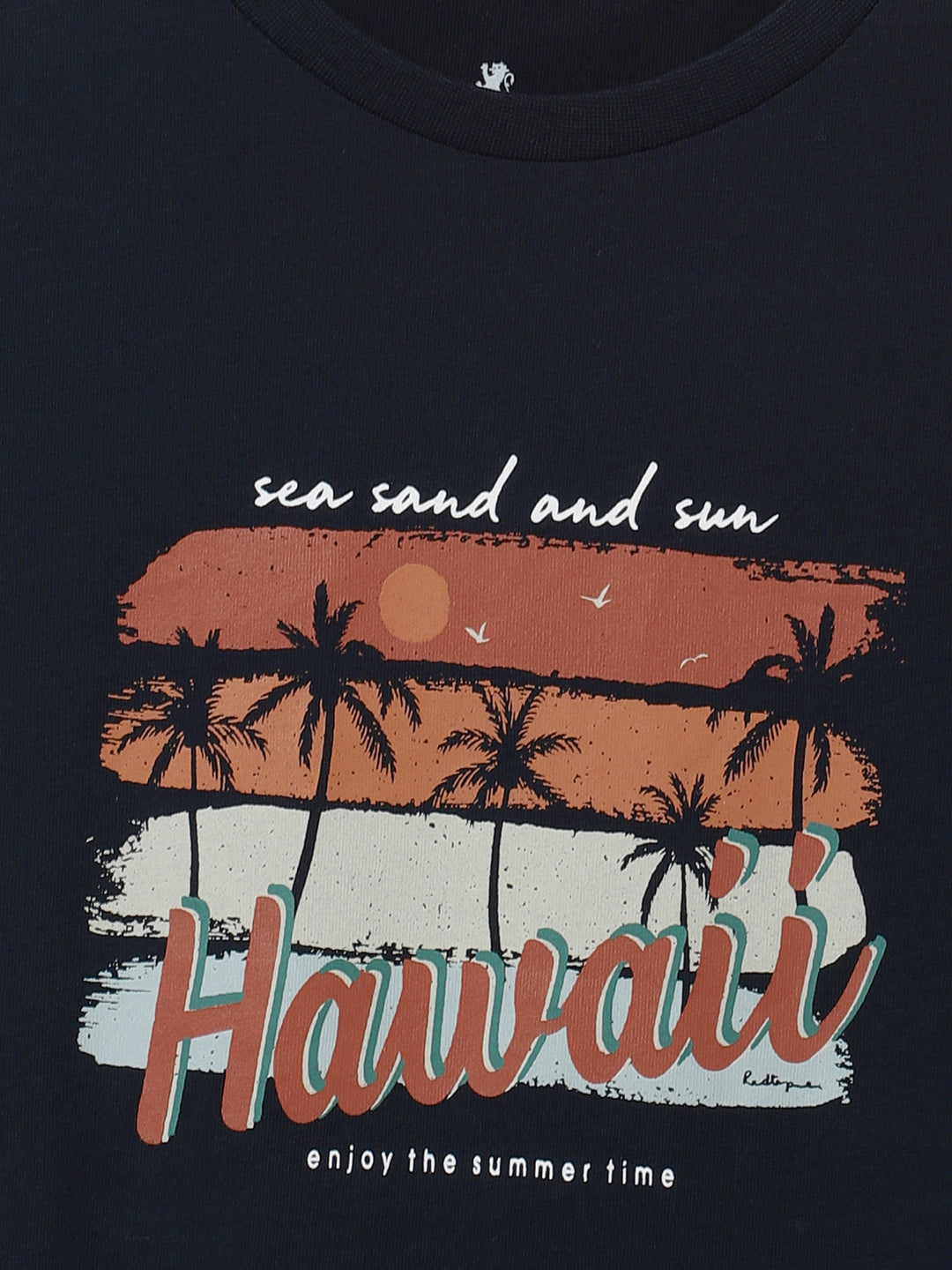 Boys Navy Printed Pure Cotton T-Shirt