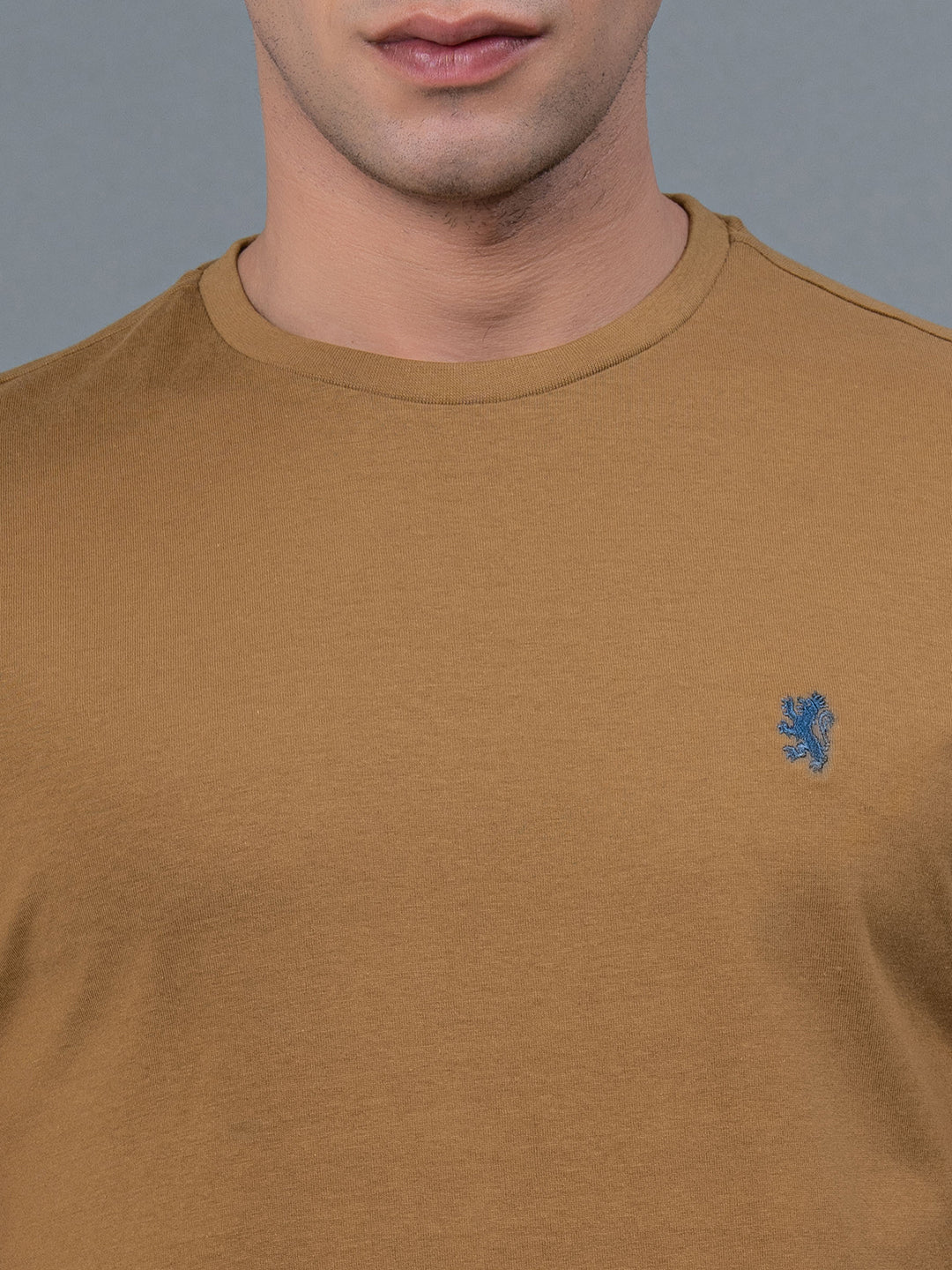 Light Camel