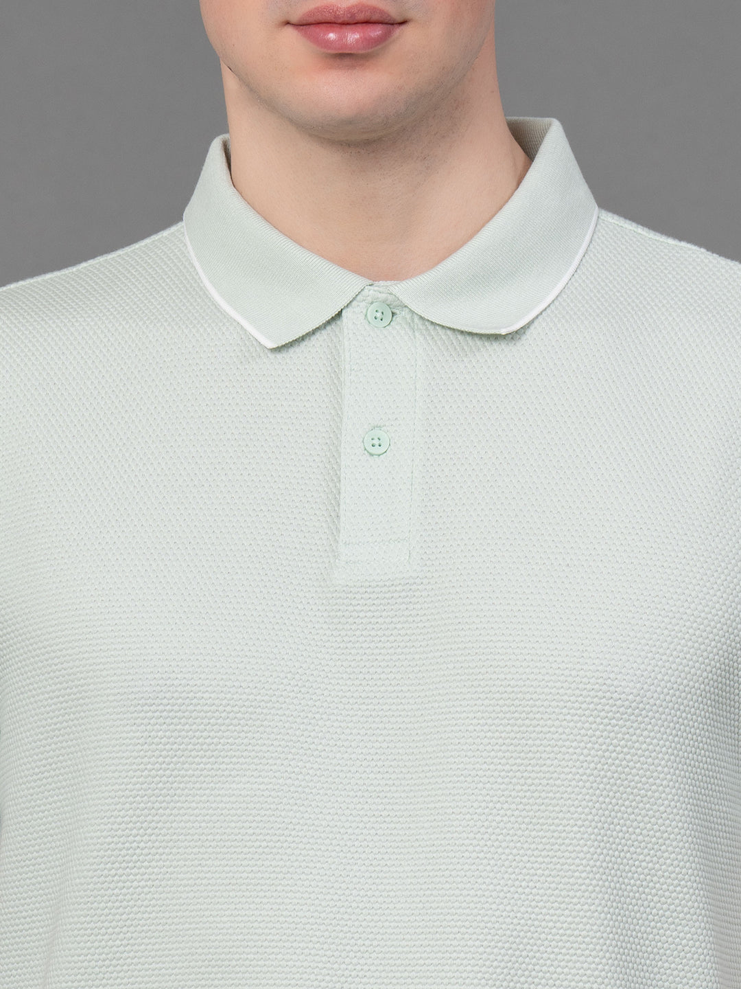 Pastel Green
