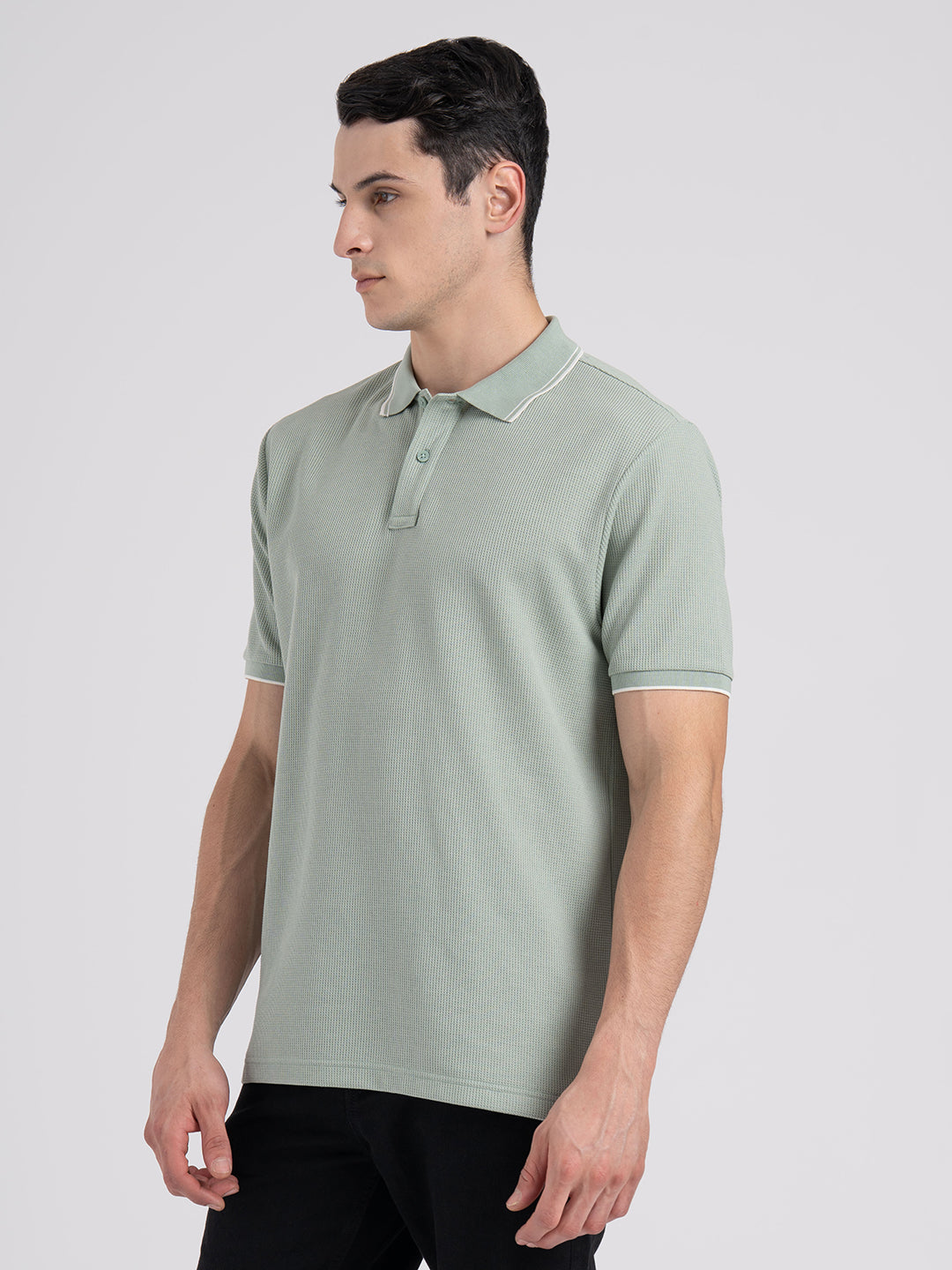 Pastel Green
