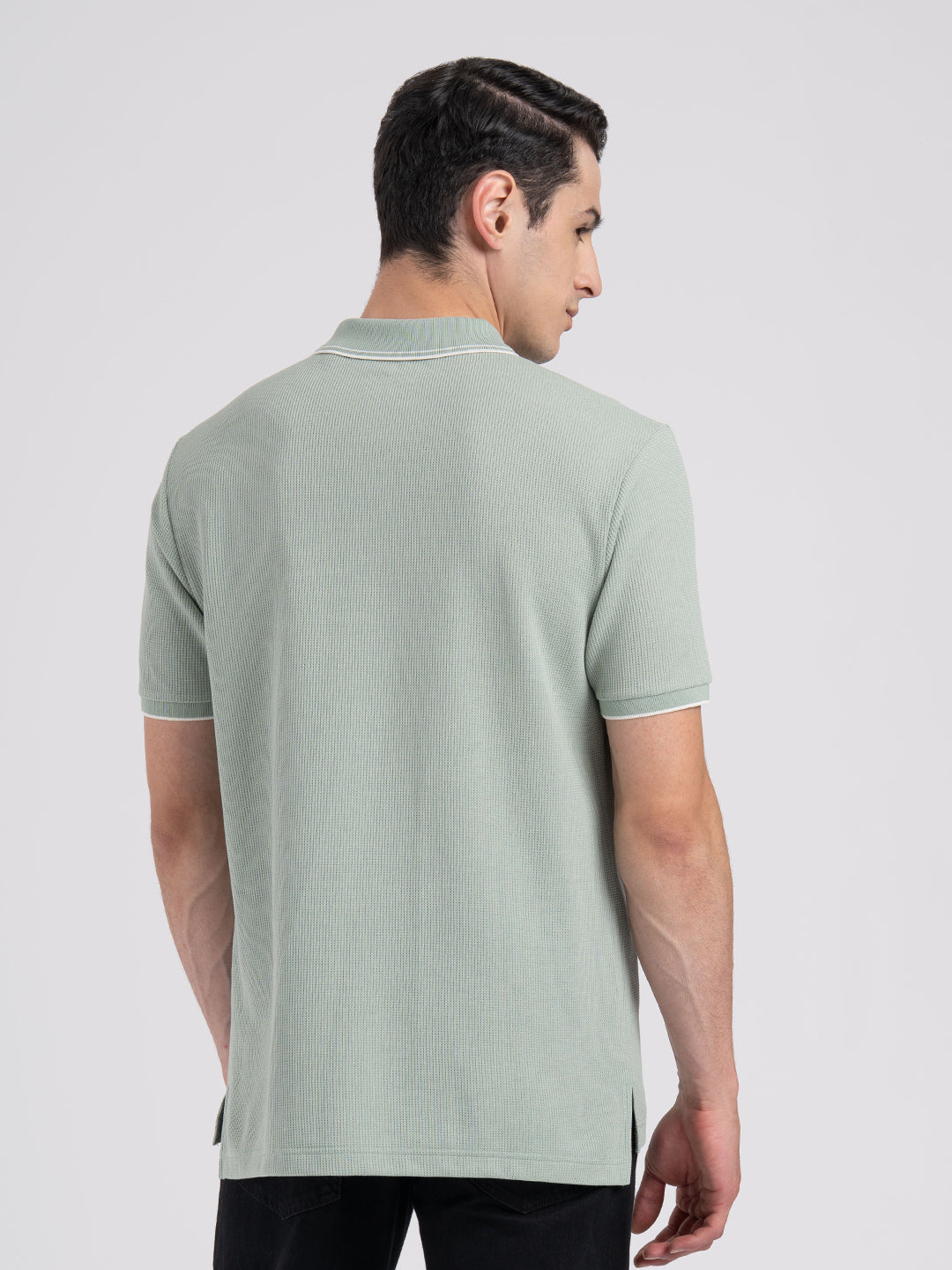 Pastel Green
