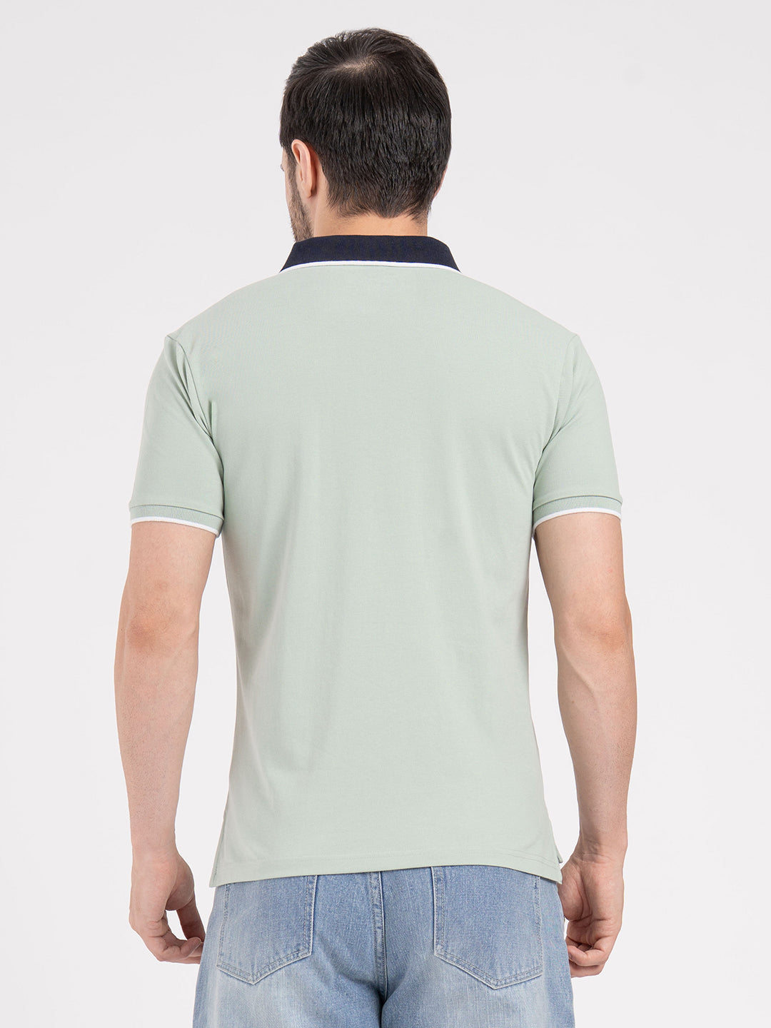 Pastel Green