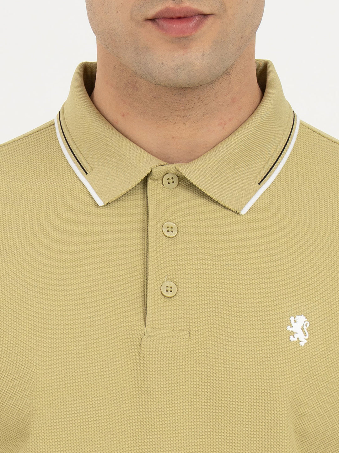 Olive Yellow