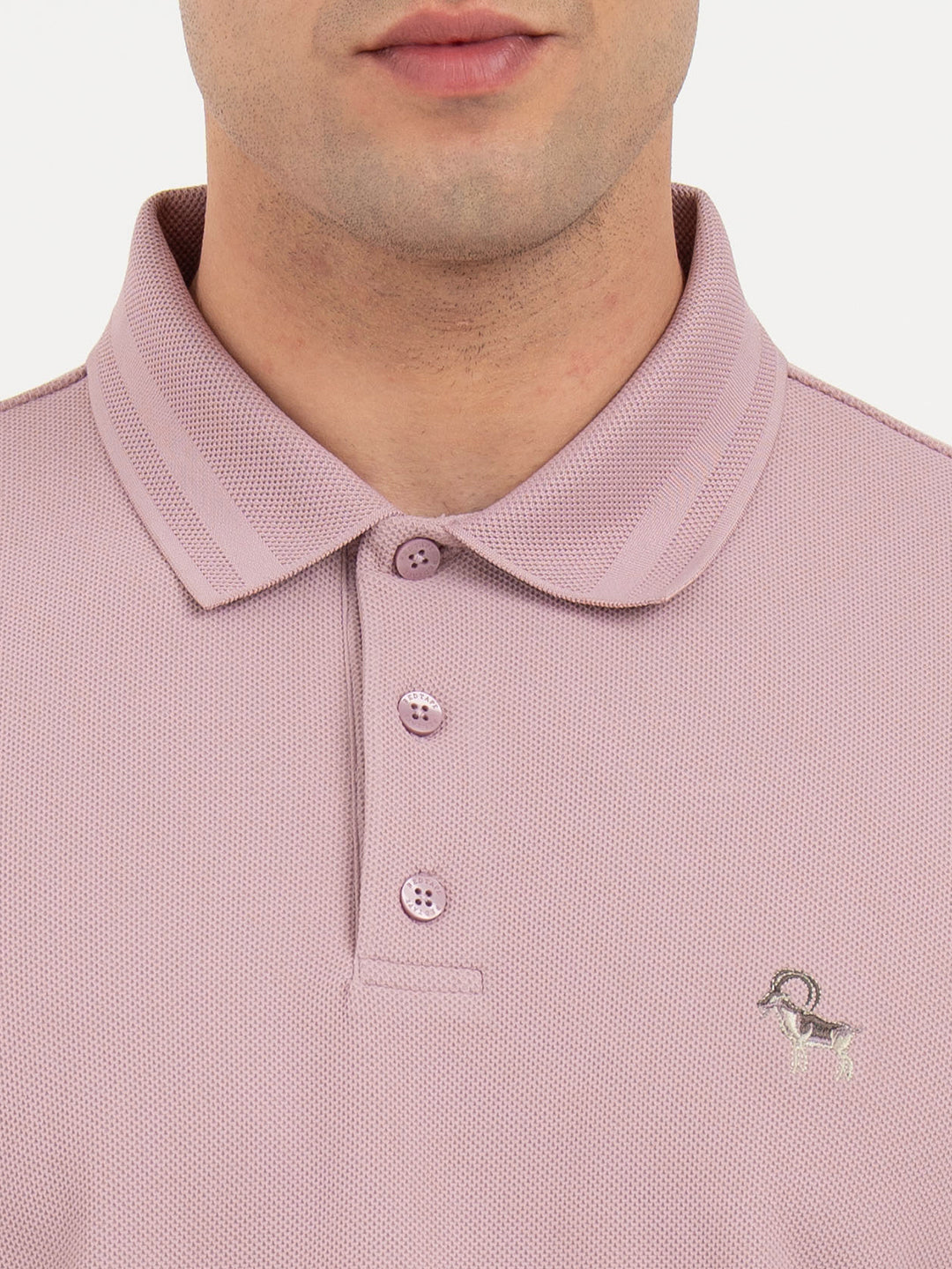 Light Mauve