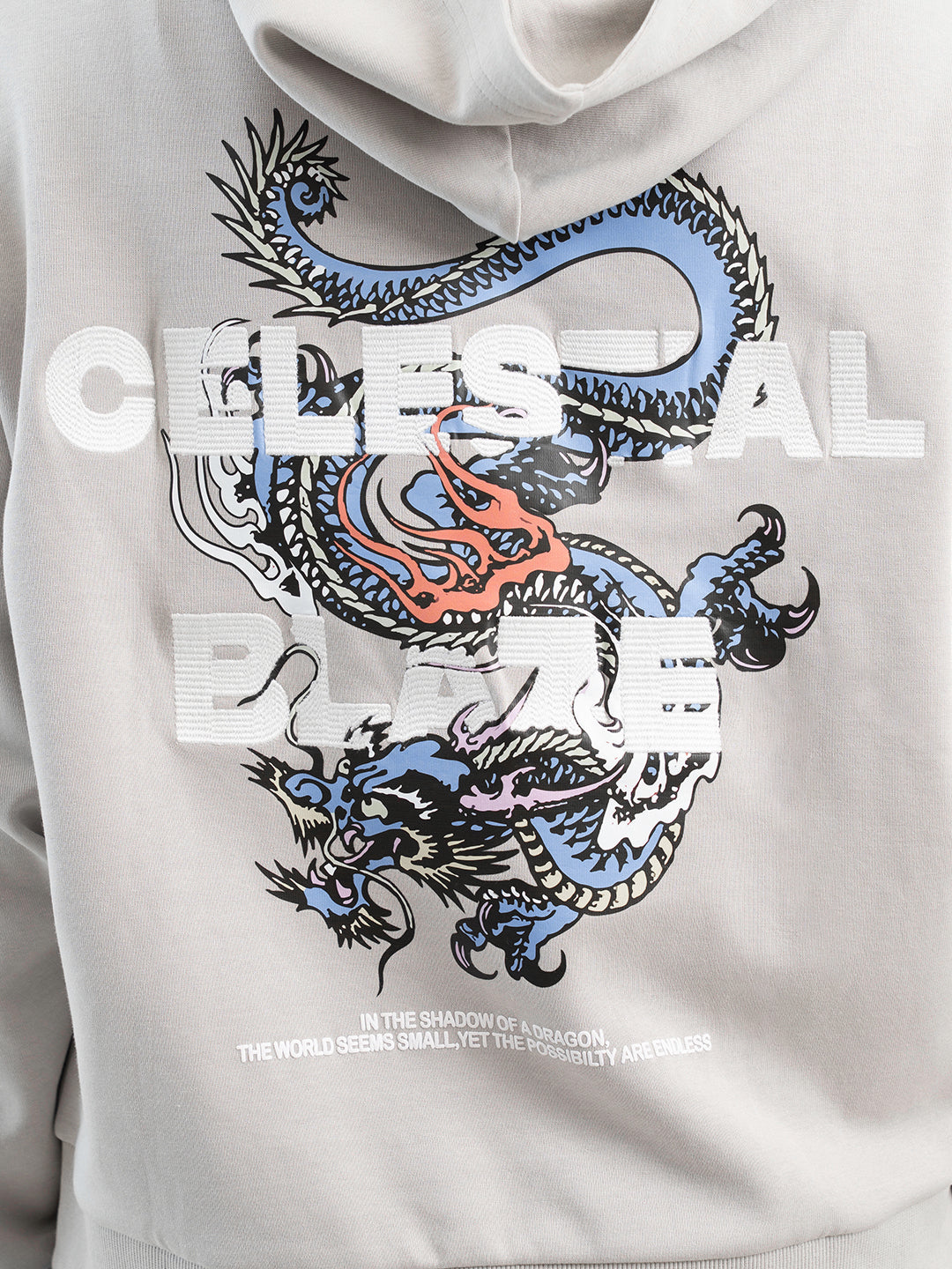 Ice Grey Hoodie for Women