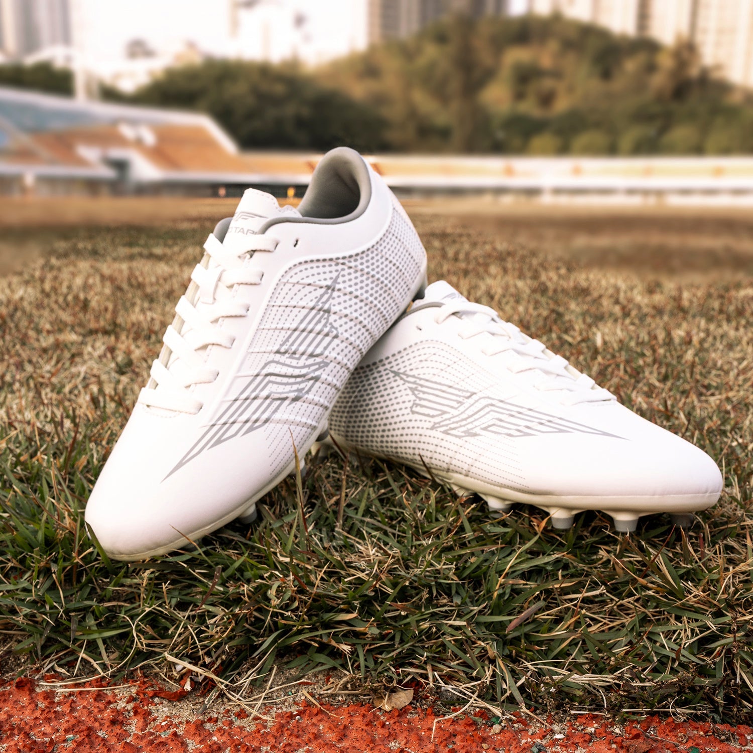 White Grey