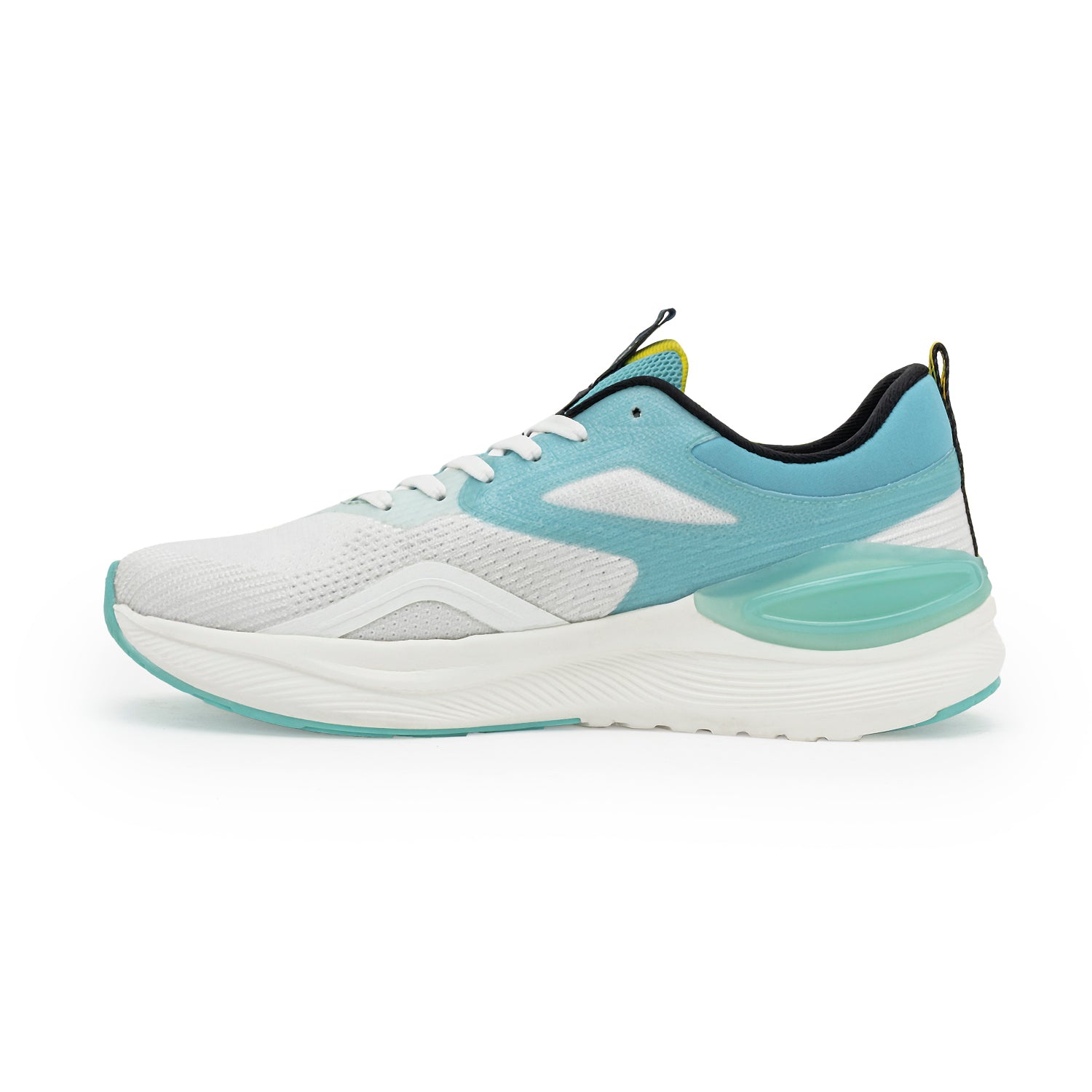 White/Teal