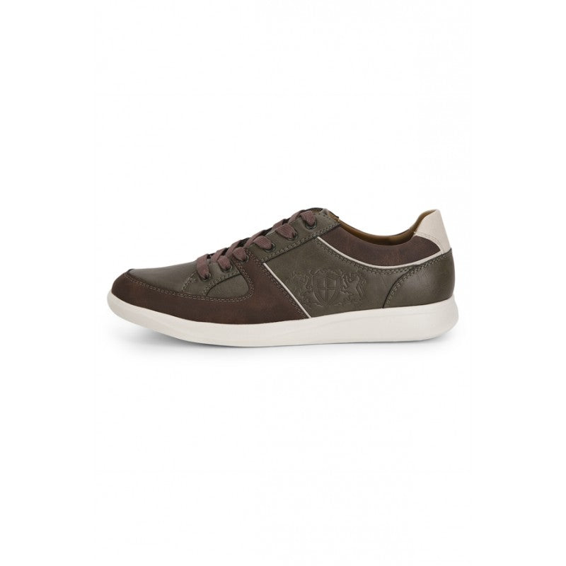 Olive & Brown