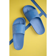 Slate Blue